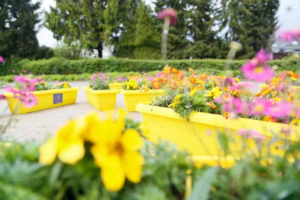 Natur-Kunstwerk Beedabei "NATUR Erde" in Sprockhövel/Wuppertal Bild: Natur-Kunstwerk Beedabei "NATUR Erde" in Sprockhövel/Wuppertal