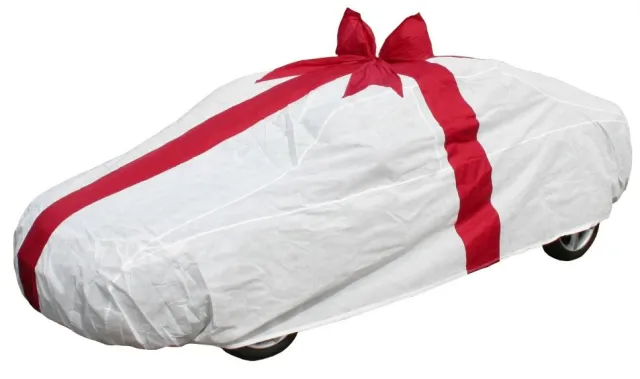 Bild: Das wahrscheinlich größte Geschenk der Welt
