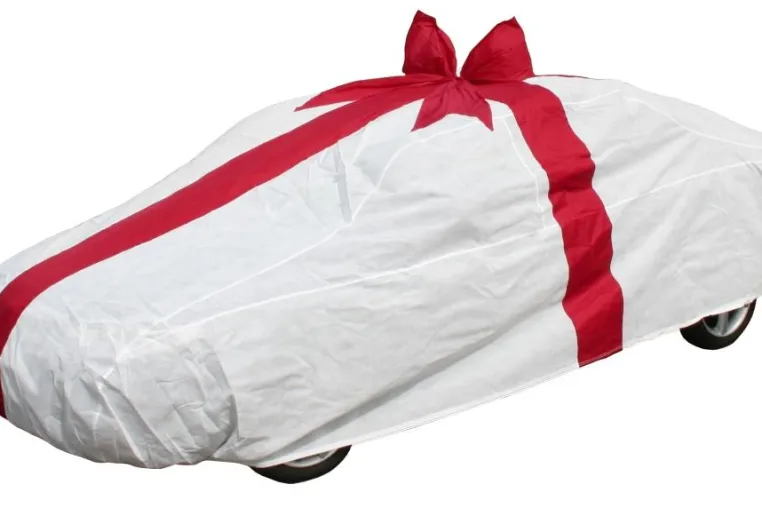 Das wahrscheinlich größte Geschenk der Welt Bild: Das wahrscheinlich größte Geschenk der Welt
