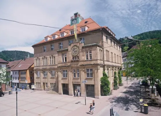 Bild: Lämmerzahl führt Hartz IV- und Sozialhilfe-Software erfolgreich in Schramberg ein