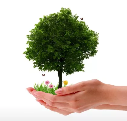 Bild: Ökologie, Sustainability, Umweltschutz: Auch in der Werbung möglich?