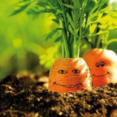 Premiere BIOerleben auf Hamburgs Hansaplatz St.Georg Bild: Premiere BIOerleben auf Hamburgs Hansaplatz St.Georg