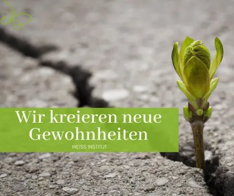 Bild: Stress als Ursache von Fehlernährung und Sucht schwächt das Immunsystem!