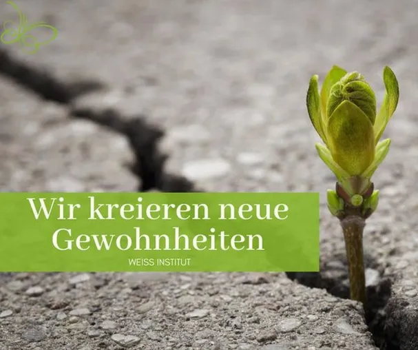 Stress als Ursache von Fehlernährung und Sucht schwächt das Immunsystem! Bild: Stress als Ursache von Fehlernährung und Sucht schwächt das Immunsystem!