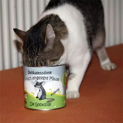 Bild: Delikatessdosen auch für Katzen ?