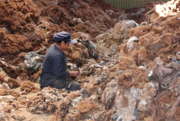 Bild: Andelana Alpaka Online Shop - Spezialist für Alpaka Mode