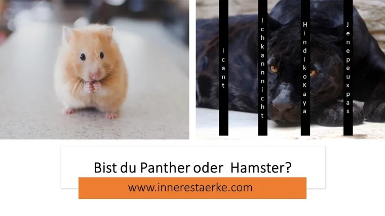 Bild: Die Hamsterreise