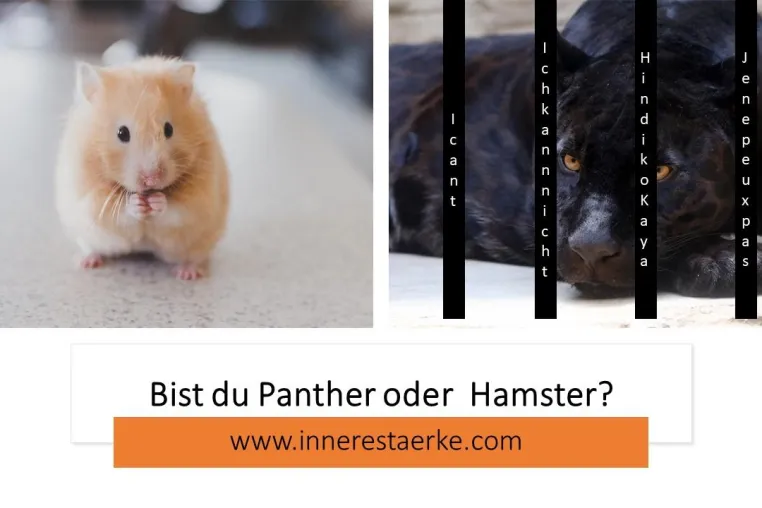 Die Hamsterreise Bild: Die Hamsterreise
