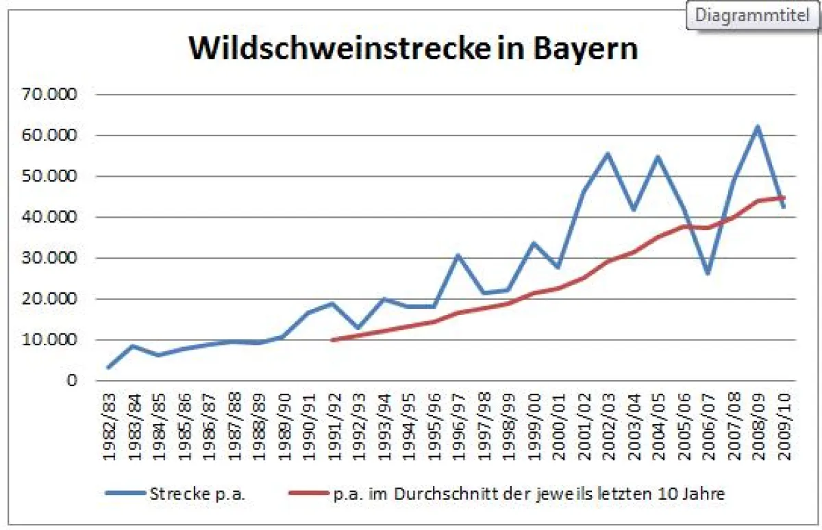 Heute werden 4-5 mal so viele Wildschweine geschossen als noch vor 20 Jahren