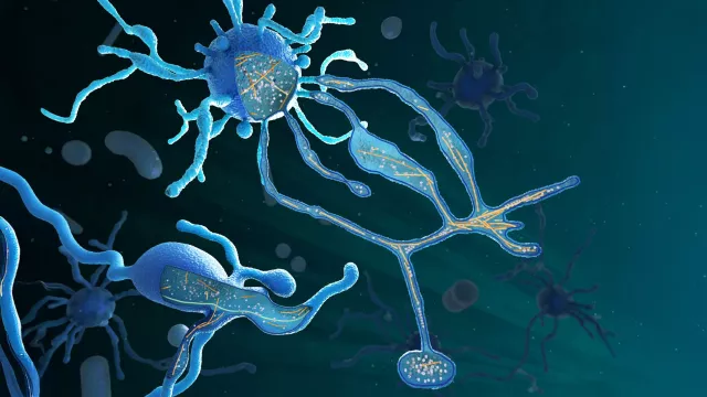 Ursprung des Lebens: Wie Mikroben den Grundstein für komplexe Zellen legten Bild: Ursprung des Lebens: Wie Mikroben den Grundstein für komplexe Zellen legten