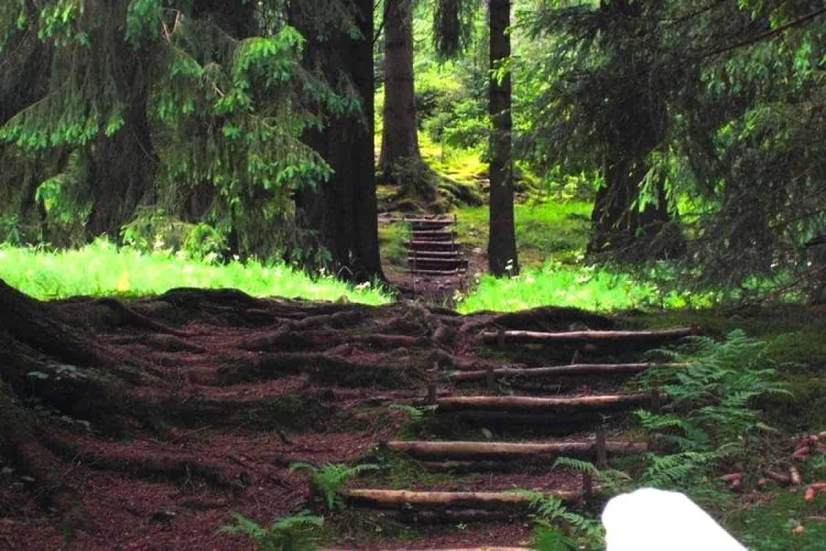 Urlaub im Ferienhaus im Thüringer Wald