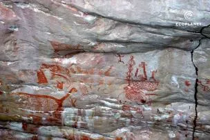 Expertenschätzung: Wandmalerei in kolumbianischem Nationalpark wohl 20.000 Jahre alt Bild: Expertenschätzung: Wandmalerei in kolumbianischem Nationalpark wohl 20.000 Jahre alt
