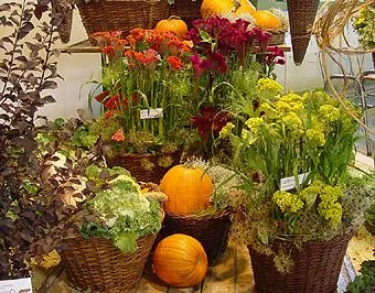 Bild: "Wernigeröder Gärtnermarkt" im Wernigeröder Bürgerpark am 29.September