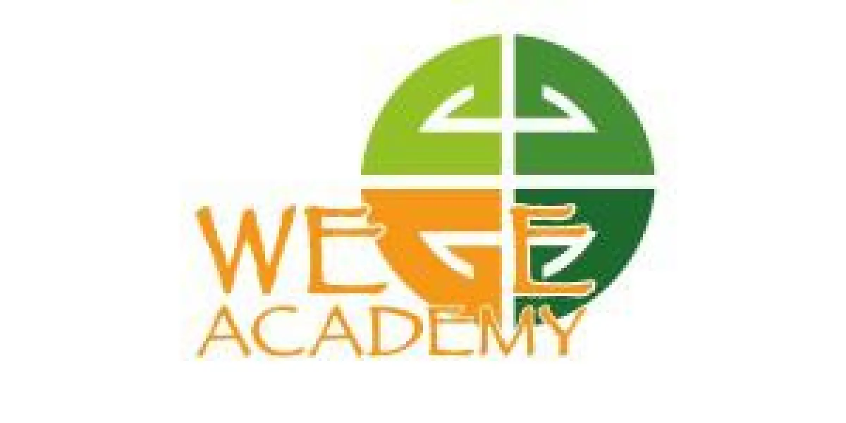 Die Wege-Academy
