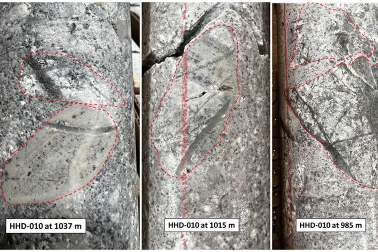 Brixton Metals: Ivanhoe Electric meldet vielversprechende Ergebnisse von Hog Heaven Bild: Brixton Metals: Ivanhoe Electric meldet vielversprechende Ergebnisse von Hog Heaven