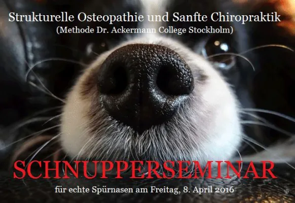 Bild: Chiropraktik Arztseminare auf dem 130.ZAEN-Kongress in Freudenstadt, 6.-10.4.16