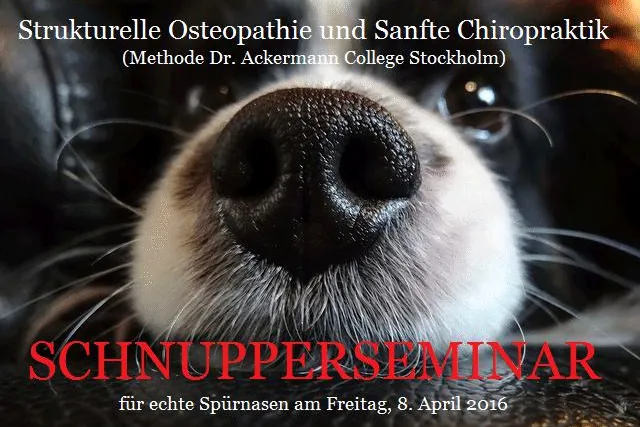 Bild: Chiropraktik Arztseminare auf dem 130.ZAEN-Kongress in Freudenstadt, 6.-10.4.16