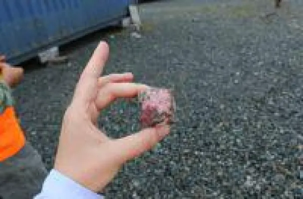 Bild: First Cobalt findet noch mehr Kobalt