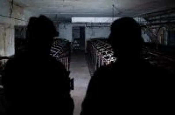 Bild: Erfolg: Aktuelle Bildaufnahmen zeigen das leere Schweinehochhaus- 2 Personen wegen Tierquälerei verurteilt