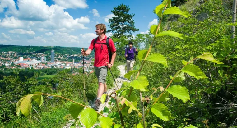 Partner der Thüringer Tischkultur ausgezeichnet als "Qualitätsgastgeber Wanderbares Deutschland" Bild: Partner der Thüringer Tischkultur ausgezeichnet als "Qualitätsgastgeber Wanderbares Deutschland"