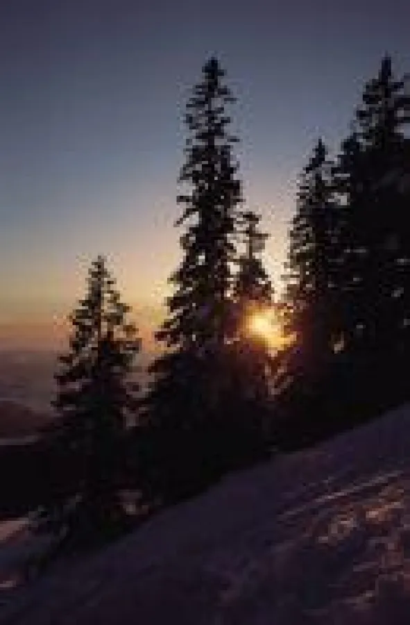 Winterliche Gemütlichkeit