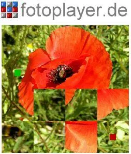 Bild: Fotoplayer.de Community erzeugt Onlinespiele aus den Fotos der Mitglieder