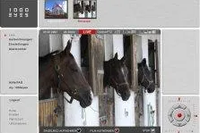 Stute und Fohlen immer im Blick - 1000eyes Videoüberwachung für Züchter und Pferdeliebhaber Bild: Stute und Fohlen immer im Blick - 1000eyes Videoüberwachung für Züchter und Pferdeliebhaber