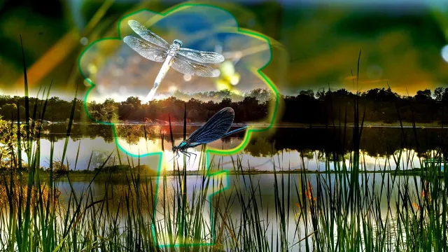 Bild:  FAMILIENKONZERT mit mini.musik Die Baumretter – Abenteuer am Birkenweiher Unserer Umwelt zuliebe