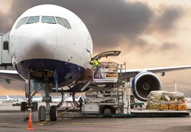 Bild: Transporte nach Argentinien: Die Geheimnisse der Luftfracht enthüllt