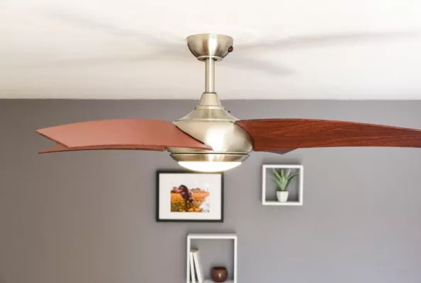 Überleben im Super Sommer: die Hitze regulieren Bild: Überleben im Super Sommer: die Hitze regulieren