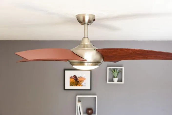 Bild: Überleben im Super Sommer: die Hitze regulieren