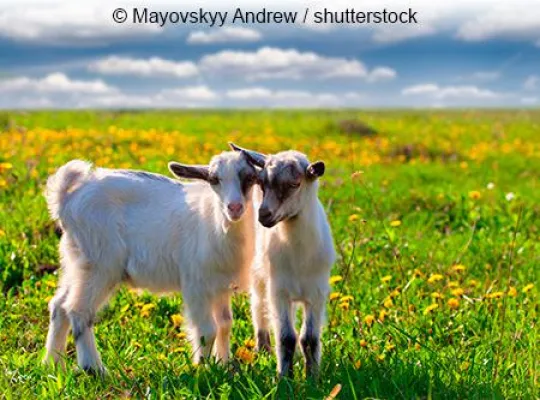 Bild: Knisternde Leidenschaft…