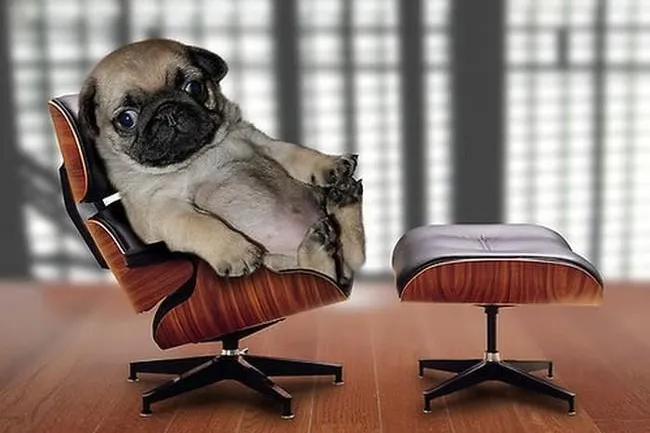 Bild: Erlebnisreihe Büro mit „Ergonomie-Live“ beim Objekteinrichter - Motto: Austesten ausdrücklich erwünscht!