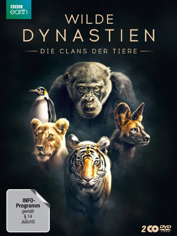 DVD Box 