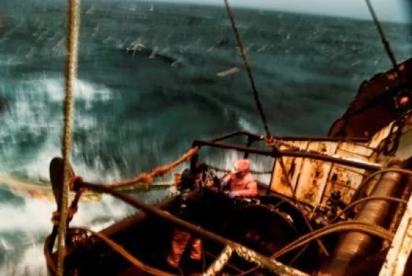 Bild: Gewinner des Fotowettbewerbs Fischerei & Aquakultur der Küsten Union stehen fest