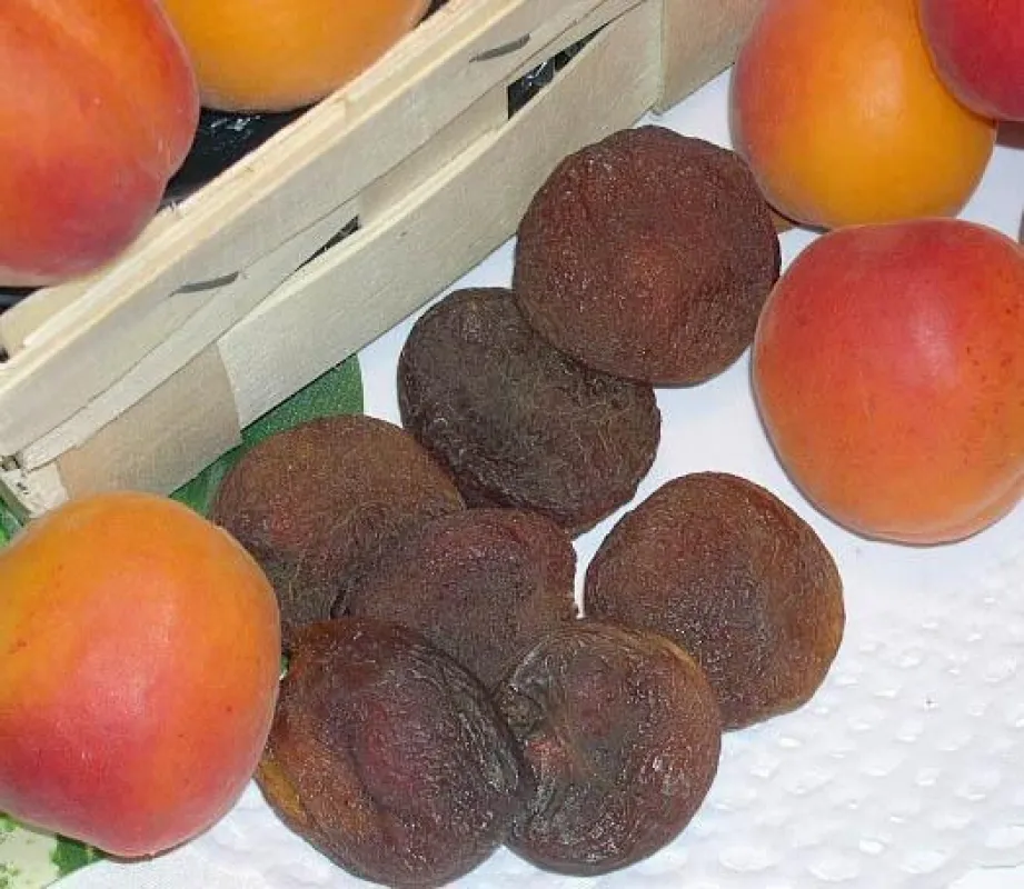 Lecker und gesund: Trockenfrüchte (Bild: Topfruits.de)