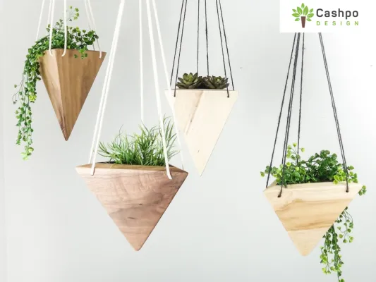 Bild: Hängepflanzen für das Heim