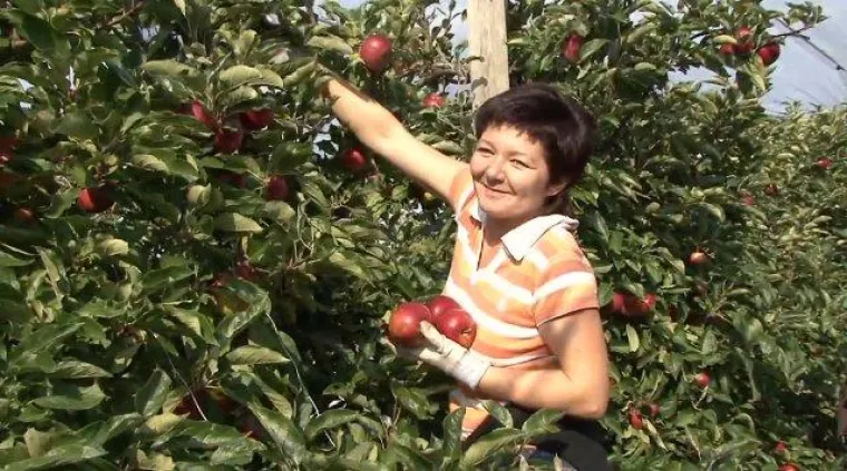 Zwei Preise für das Urlaubsland Österreich auf der ITB 2009 Bild: Zwei Preise für das Urlaubsland Österreich auf der ITB 2009