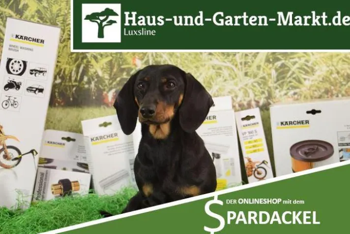 Bild: Neues Luxsline Werbe- und Firmenmaskottchen "der Spardackel"