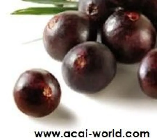 Bild: Acai - medizinische Aspekte