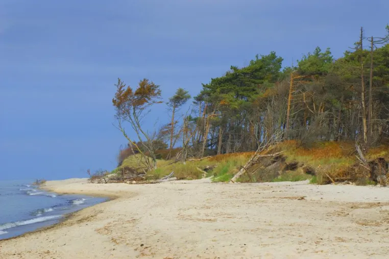 Bild: Fotoseminar „Strandgut und viel Mee(h)r“ mit der Fotoschule des Sehens