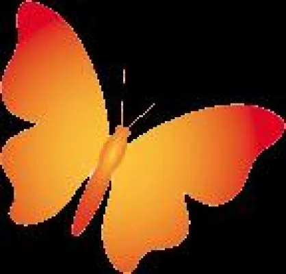 Bild: skriptura bringt das Mailing in das Web 2.0