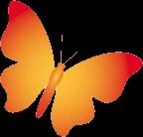 Bild: skriptura bringt das Mailing in das Web 2.0