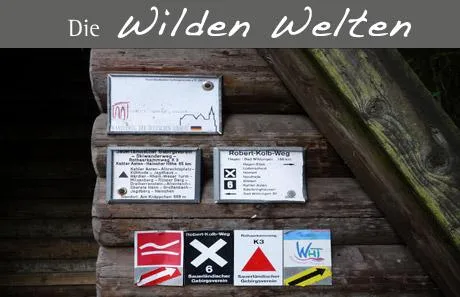 Bild: Samstag 18.04.2009 - Geführte Wanderung auf dem Hohen Knochen im Sauerland