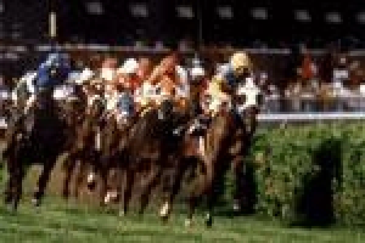 Galopp aus New York - Live auf www.magnabet.com