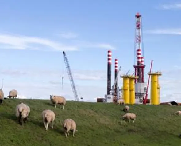 Bild: Netzwerken für den maritimen Klimaschutz