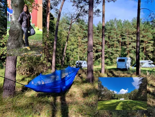 „Waldauszeit mit Camper“ und der Entschleunigungs-Gastgeberin Petra Lupp  Bild: „Waldauszeit mit Camper“ und der Entschleunigungs-Gastgeberin Petra Lupp