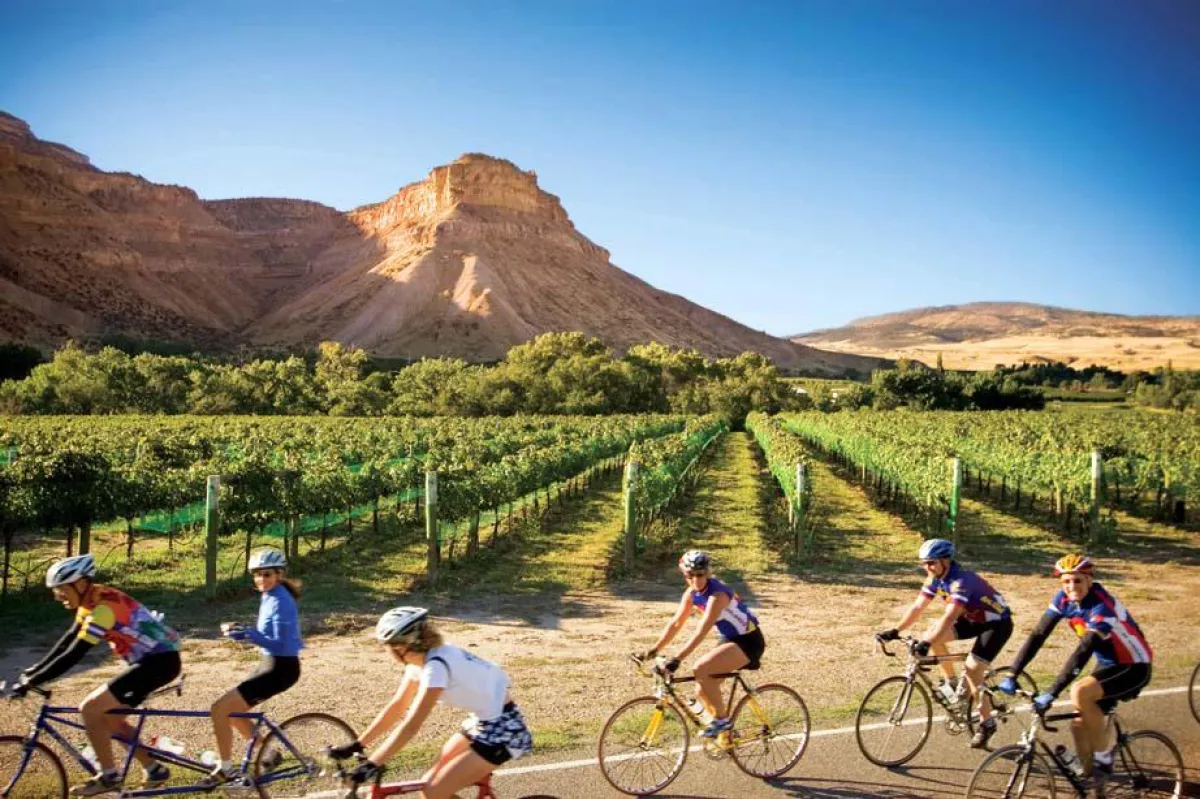 Mit dem Rad durch die Weinberge von Palisade in Colorados Wine Country (c) Denise Chambers, Miles