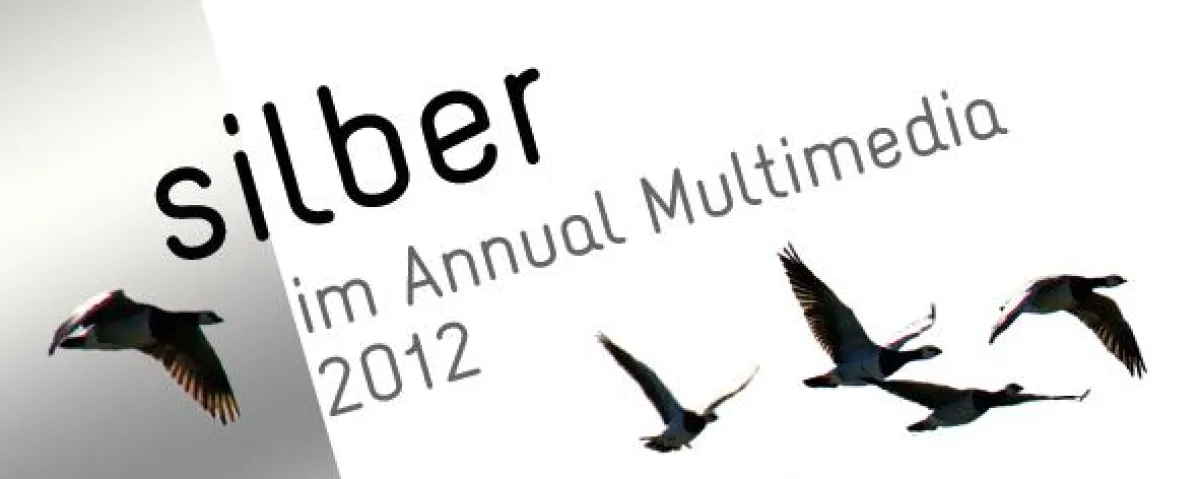 coma überzeugt bei den Annual Multimedia Awards