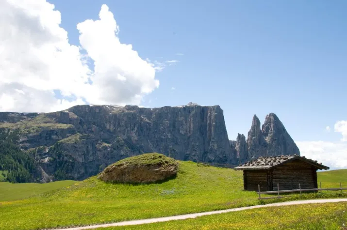 Bild: Gams-Safari auf der Seiser Alm